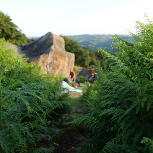 Green ferns obscure a group of boulderers climbing at Stanage Edge, Peak District