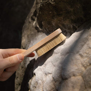 Climbing Brushes