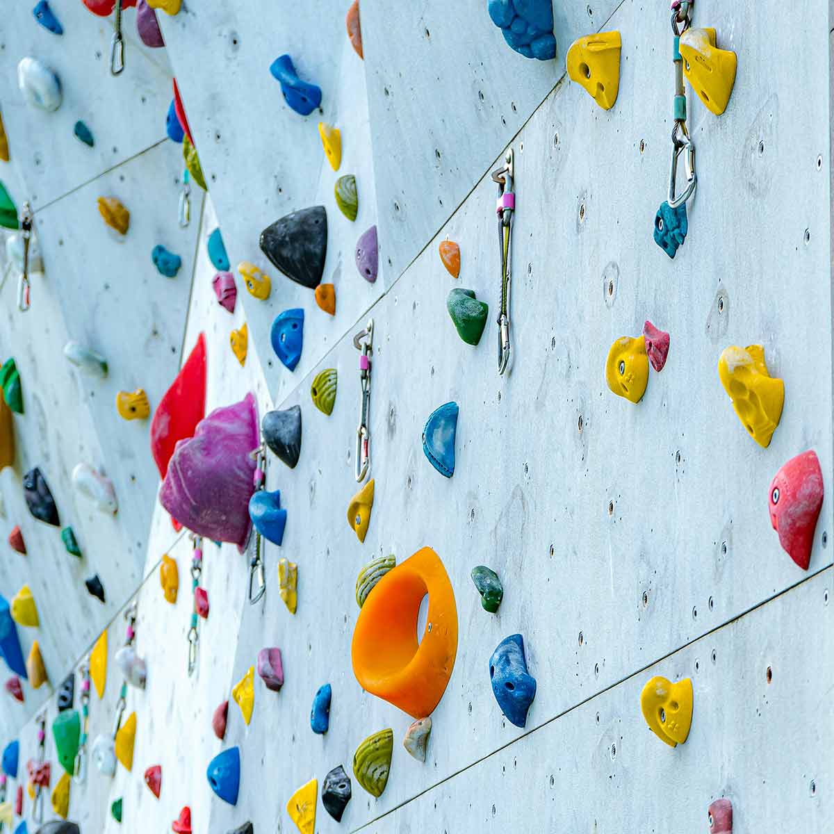 An artificial competition rock climbing wall with carabiner clips and multi-coloured hand holds