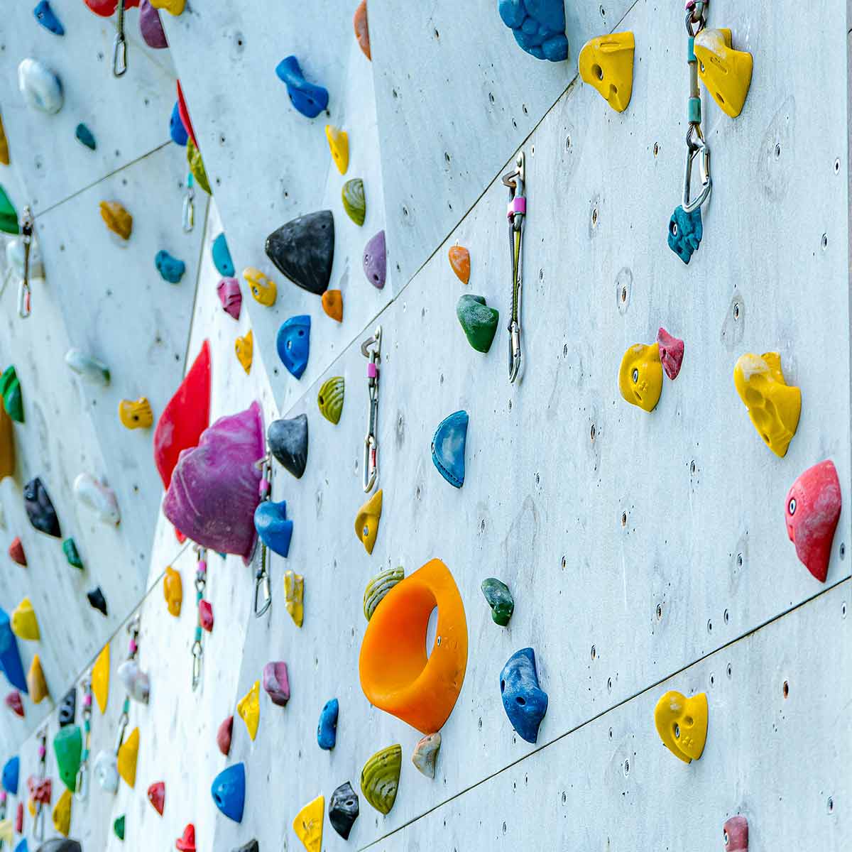 An artificial competition rock climbing wall with carabiner clips and multi-coloured hand holds